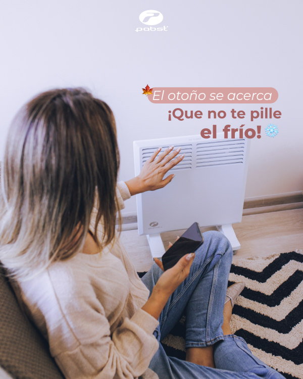 Calefactor eléctrico modelo Arrayán